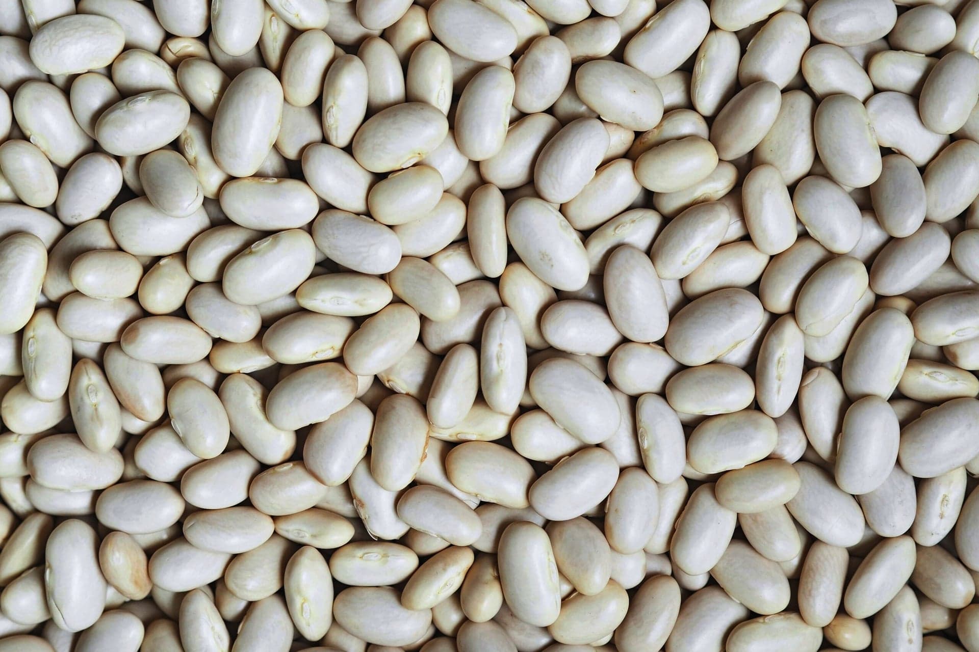 Grønt kantinekoncept