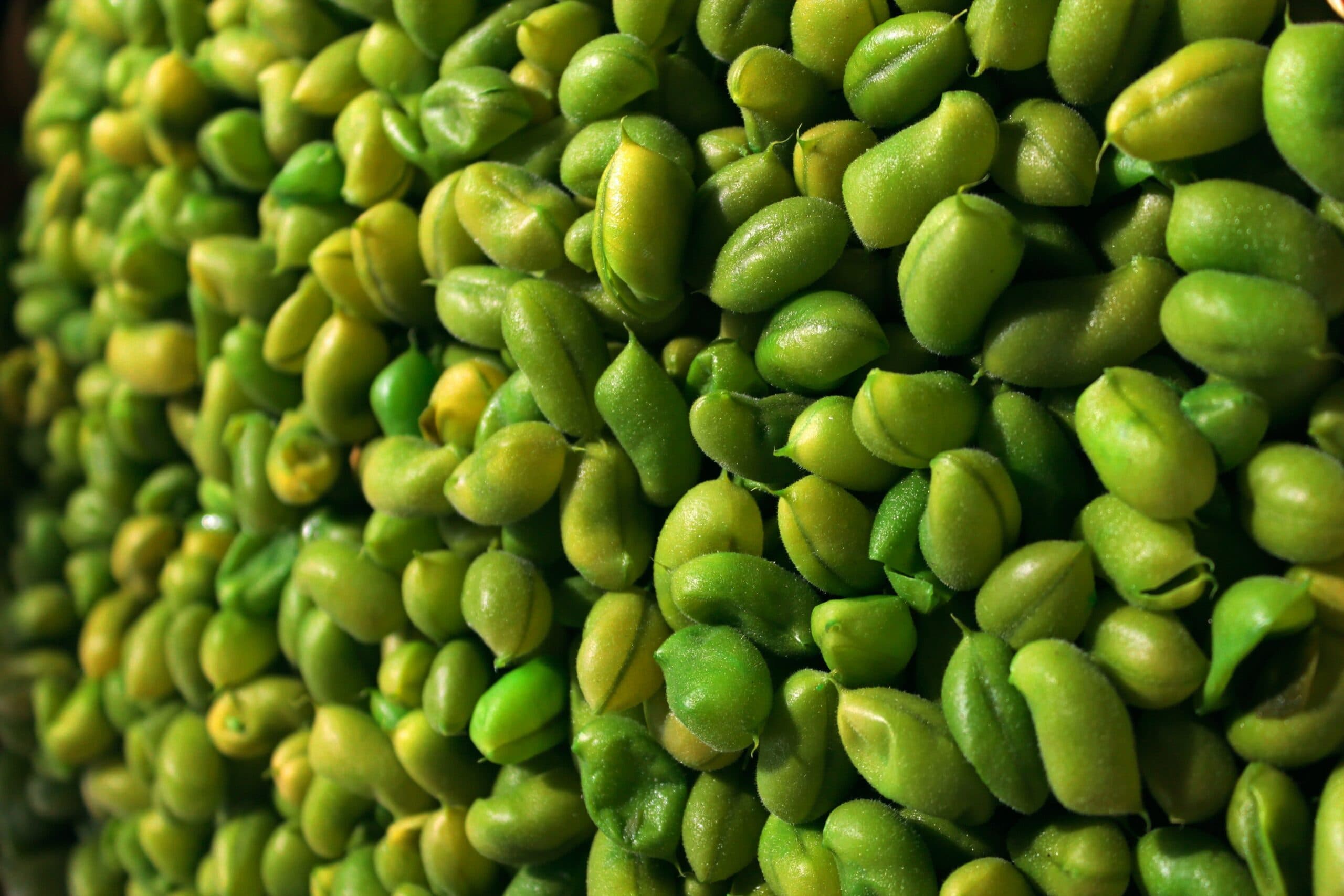 Grøn omlægning for offentlige institutioner